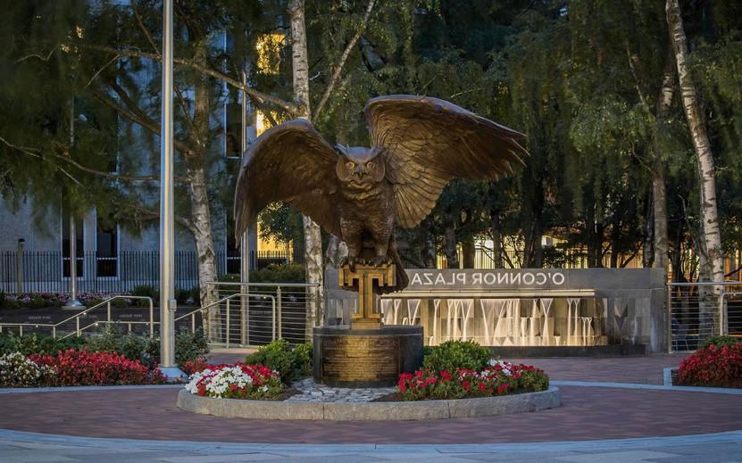 Statue of new night owl in O'connor plaza